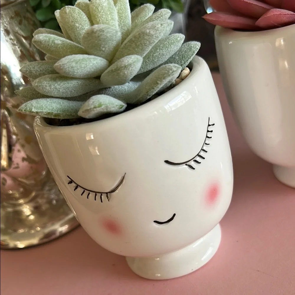 Feminine Face Planters with faux Succulents in pink and green set of two